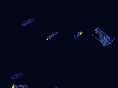 Mouse aorta preview