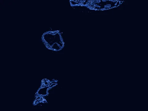 Mouse aorta preview