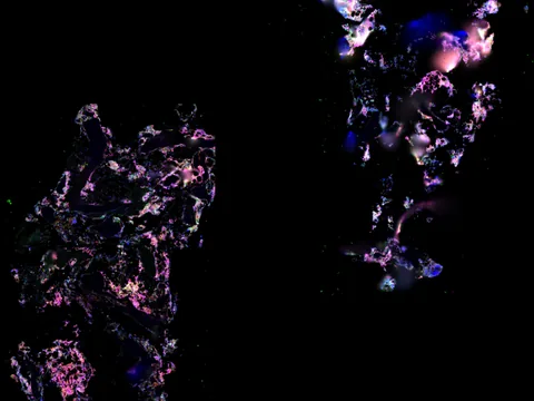 Human bone marrow preview