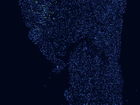Human brain preview