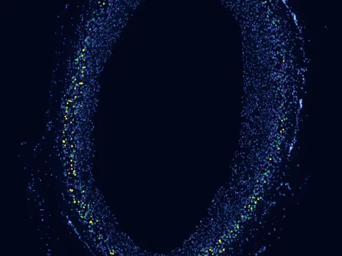 Human coronary artery preview