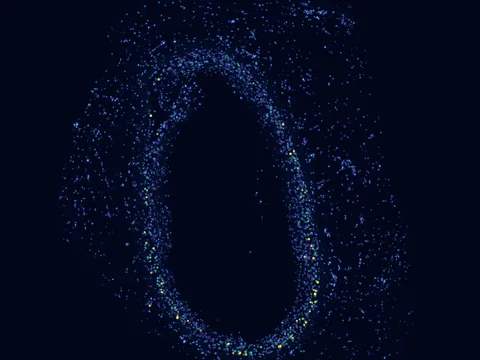 Human coronary artery preview