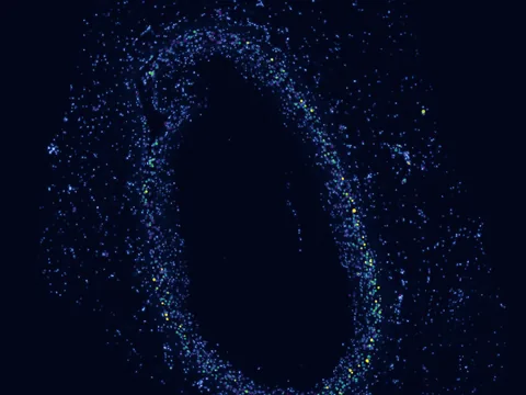 Human coronary artery preview