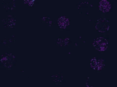 Human lung preview