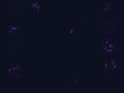 Human lung preview