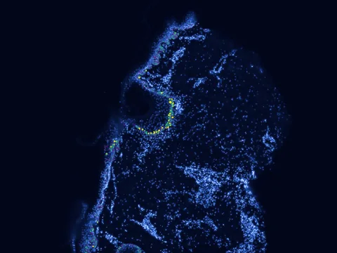 Human skin of body preview