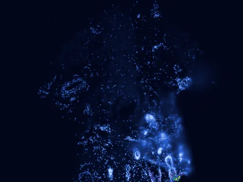 Human skin of body preview