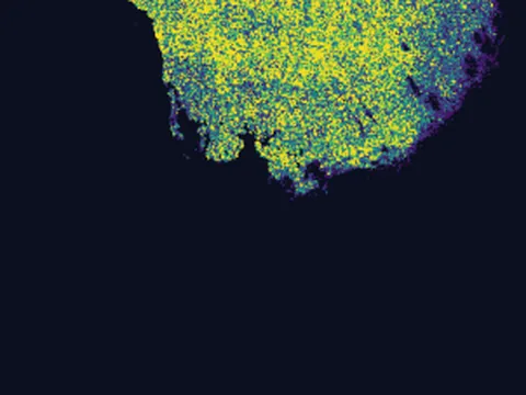 Mouse skin of body preview